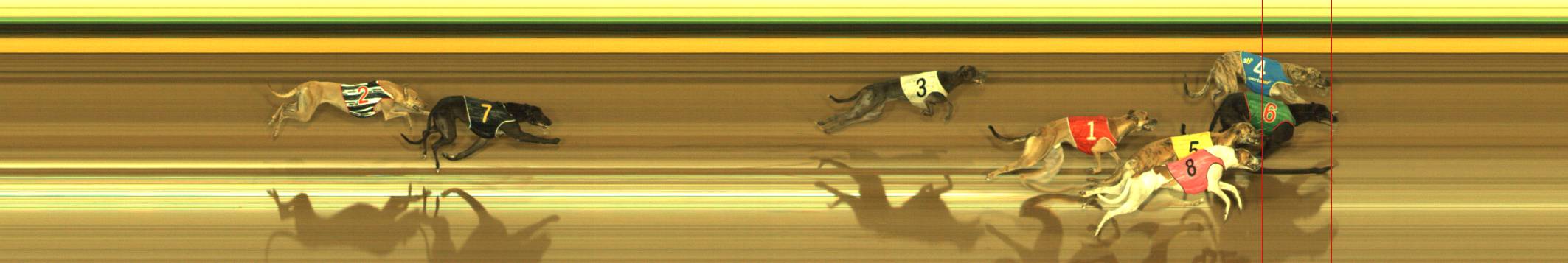 Race result finish photo